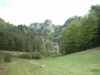 IMAGE0006