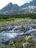Image00006.jpg