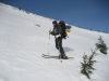 slalom midzy choinkami...