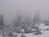 PICT0623.JPG