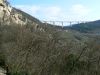 P1190007.jpg