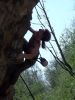100_0461.JPG
