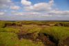 powymywao........