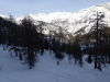 i znowu las ;)