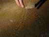 095_strange_tracks.jpg