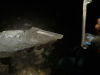 127_crystal_debris.jpg