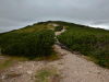 DSCN2485.JPG