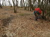 DSCN0717.JPG