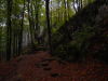 jaskinia-koralowa-6.JPG