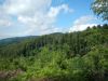 DSCN4845.JPG