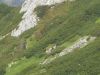 DSCN5749.JPG