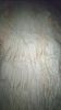 IMG-20211107-WA0015.jpg