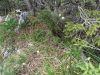 IMG_20210619_143826.jpg