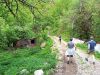 IMG_20220504_143856.jpg