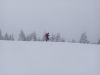 IMG_20230114_122252.jpg