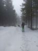 IMG_20230410_124657.jpg