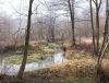 Potok Rudno