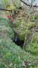 IMG-20240405-WA0015.jpg